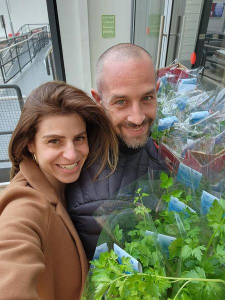 חלוקת שתילים במשרדי הממשלה1